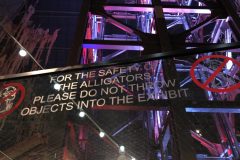 I saw the sign before I saw the gators