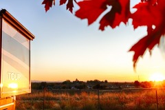 Rexy and the fall sunset
