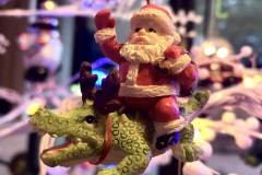 Santa rides gators here