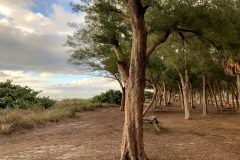 Coquina Beach on Anna Maria Island