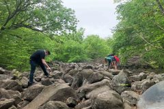 Gotta find a good one--only 1 in 3 ring at a pitch we can hear