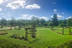 Allentown Rose Garden