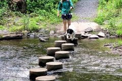 Jax figured it out! Mostly