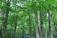 Nine Corners Lake trail in the Adirondacks