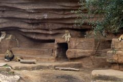 Posing for the new album art