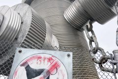 Dogs over 50 feet prohibited