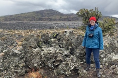 Analise and lava fields