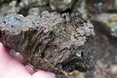 Up close with a lava rock