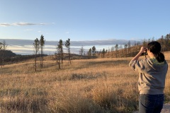 Hopping out for a photo