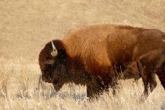 Happy with how close that was