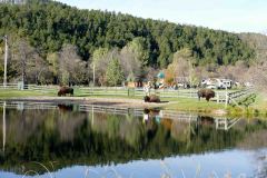 I know where I'm parking Rexy next time we visit