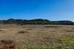 Prairie dogs at the foot of Devils Tower