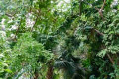 Mark in the greenery