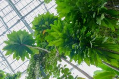 So tall! The greenhouse goes up about five storeys