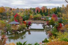 It was a bleak morning but the colors really popped.