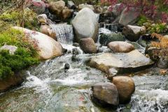 Water, rocks, and plants are essential elements of a Japanese garden.