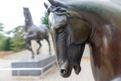 Perspective challenge -- which one is bigger?