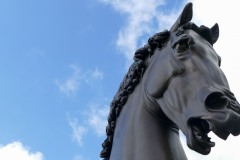 The American Horse by Nina Akamu