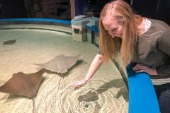 Heather petting the rays