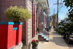Houses in the Marigny neighborhood
