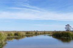 Part prairie, part bog, part river.
