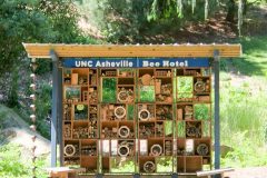 Bee motel on the UNC Asheville campus