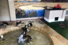 Duck Palace on the roof complete with mini Peabody