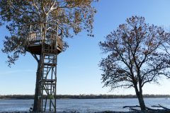 Tree houses everywhere