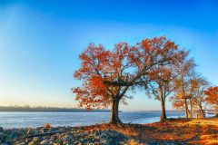 Sunrise over the river