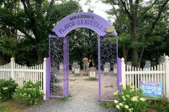 The Flavor Graveyard