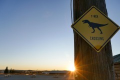 They know Rexy has arrived