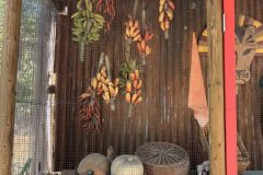 Albertson's zoo location